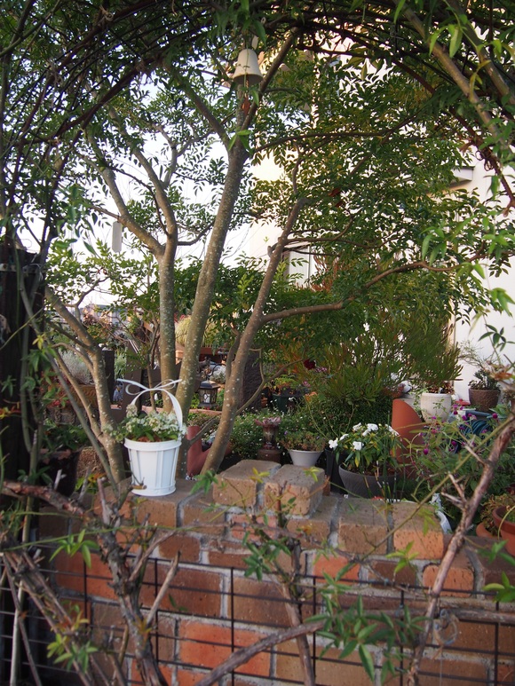b0194267_1891439.jpg