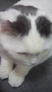 f0200871_052850.jpg