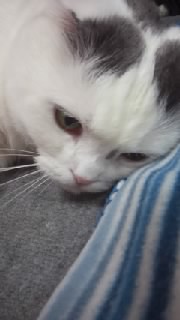 f0200871_052862.jpg