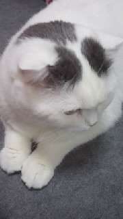 f0200871_052898.jpg