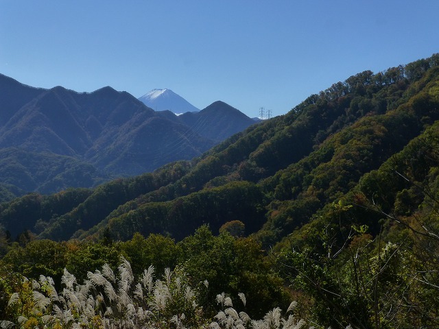 日川渓谷・竜門峡・１１月５日_d0069573_21195248.jpg