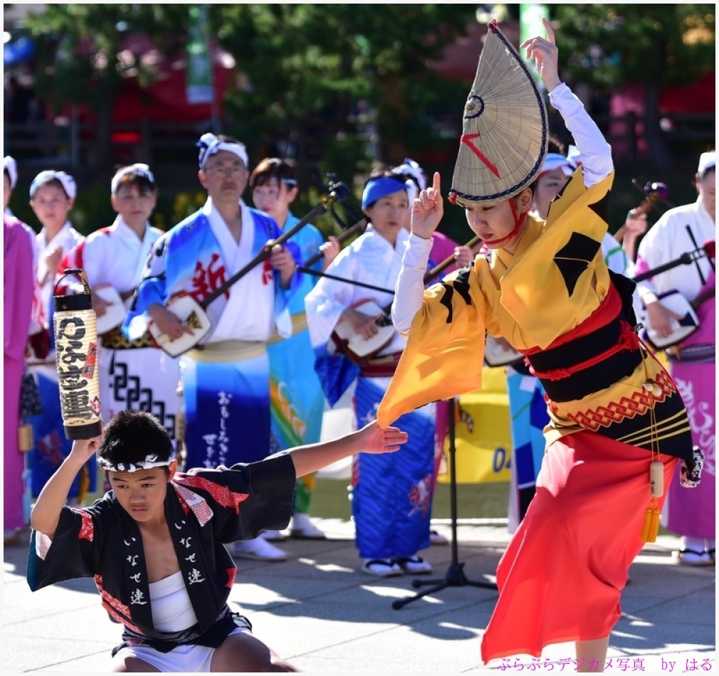 草加ふささら祭り　2015（３）　阿波踊りの参_b0104774_20552028.jpg