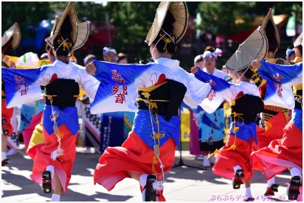 草加ふささら祭り　2015（３）　阿波踊りの参_b0104774_21013604.jpg