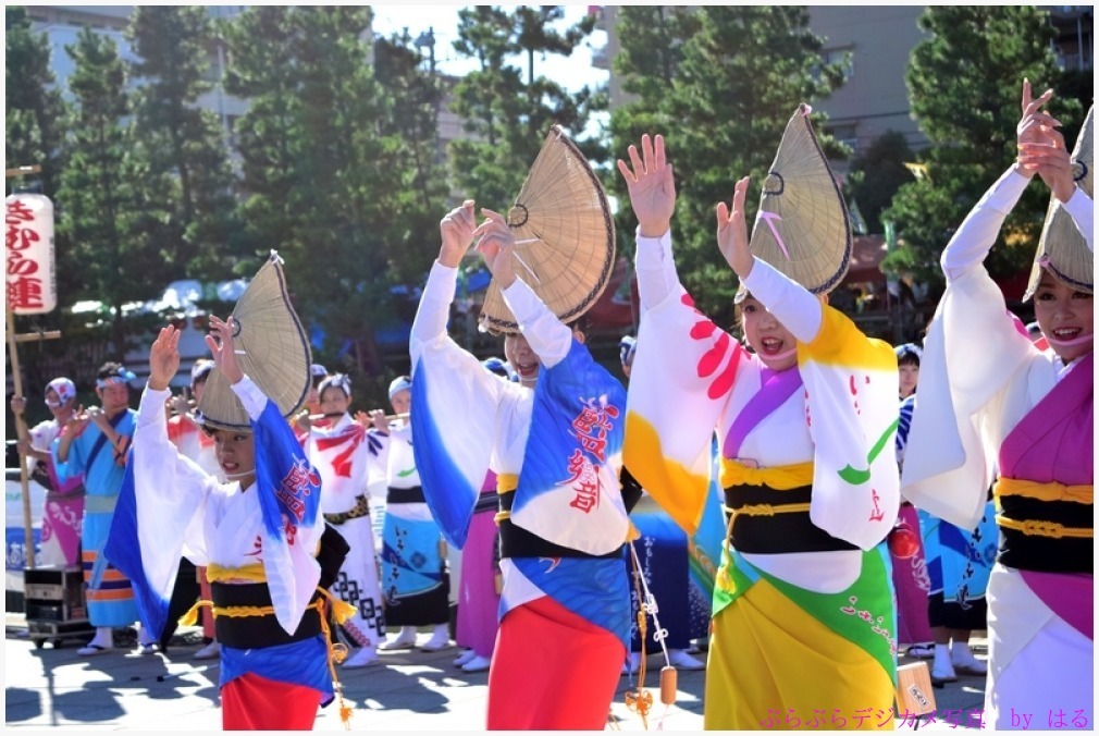 草加ふささら祭り　2015（３）　阿波踊りの参_b0104774_21055240.jpg