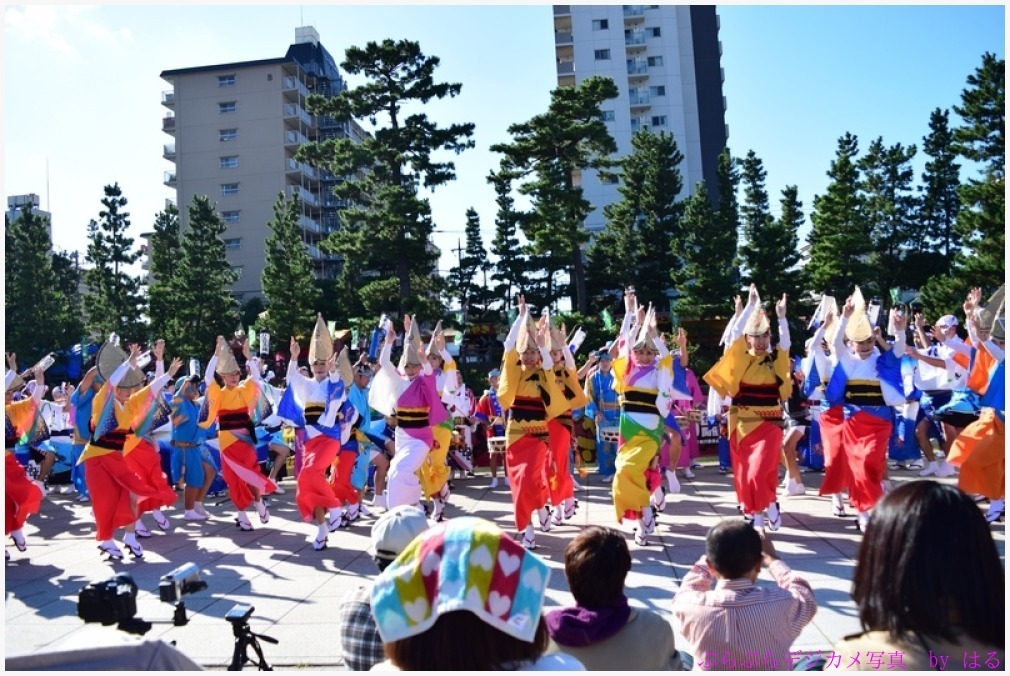 草加ふささら祭り　2015（３）　阿波踊りの参_b0104774_21060846.jpg