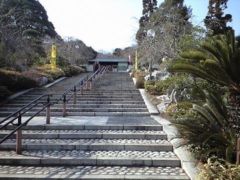 早春の北九州 1(白野江植物公園/部埼燈台)_b0005281_20351124.jpg