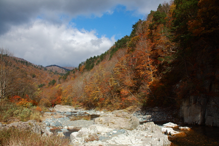 e0165983_11403067.jpg