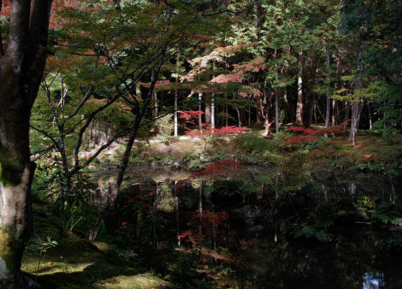 c0197386_2330147.jpg