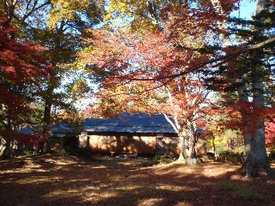 天鏡閣のもみじは優しさ色_a0096989_20542648.jpg