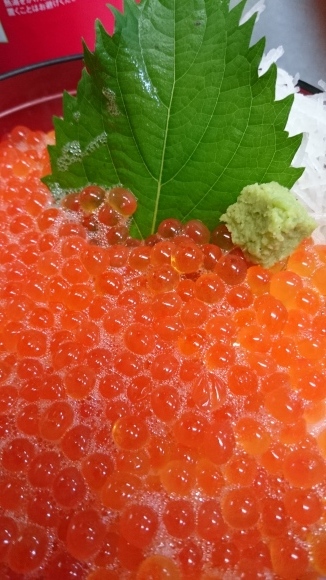 お食事処【漁火】親不知のイクラ丼_d0235898_21333392.jpg