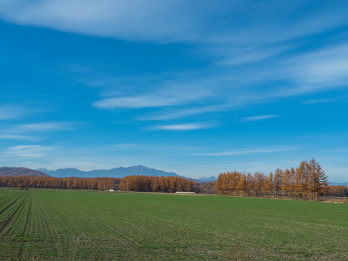 f0276498_16592000.jpg