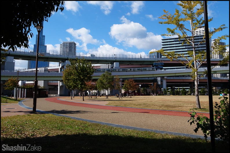 「みなとのもり公園」で秋の陽射しを楽しむピクニック_c0102003_10512919.jpg