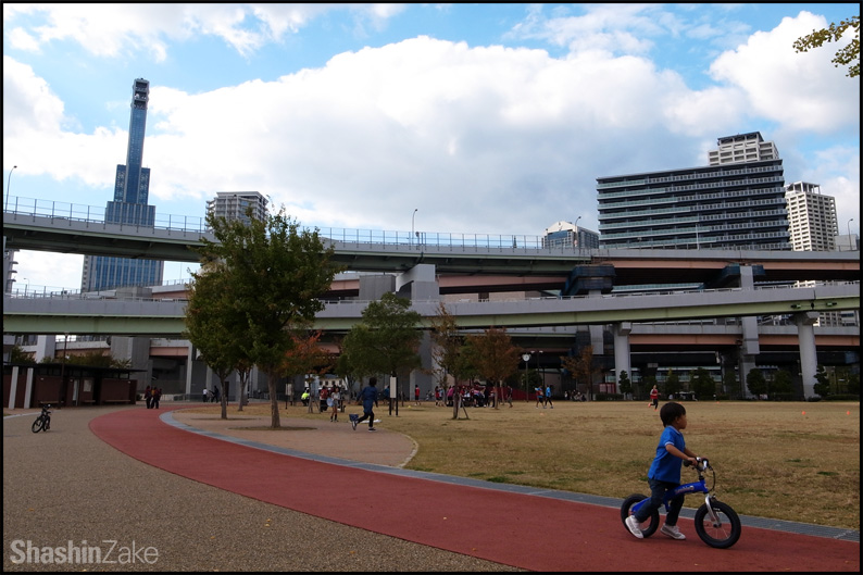 「みなとのもり公園」で秋の陽射しを楽しむピクニック_c0102003_10523631.jpg