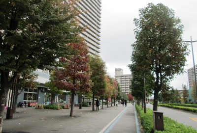 c0049409_18161839.jpg