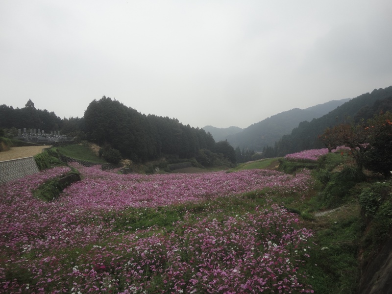 f0231709_10371314.jpg