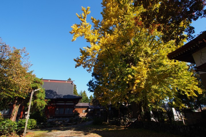 a0268412_20344443.jpg