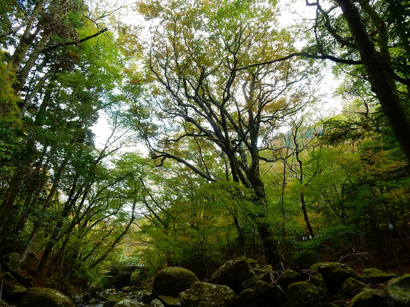 f0182513_2354654.jpg