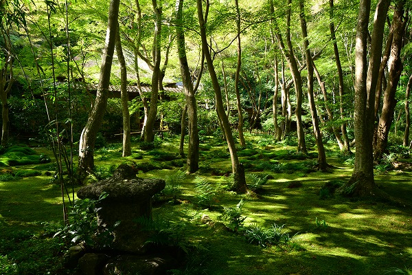 秋の気配　-　祇王寺_a0114714_22195625.jpg