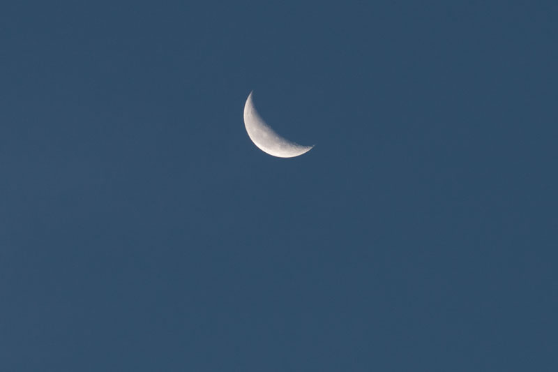 a0278914_919523.jpg