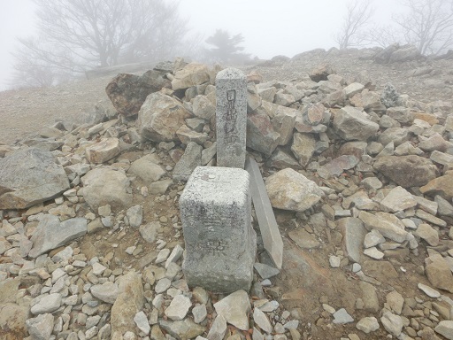 b0181818_18321349.jpg
