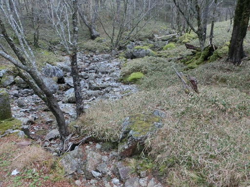 b0181818_1839943.jpg