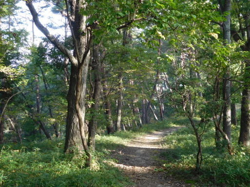岡山旅行 その 2 吉備路 (備中国分寺、宝福寺等)、倉敷 (安養寺、大原美術館等)、岡山 (後楽園、岡山城)_e0345320_23574987.jpg