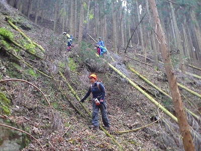 f0193521_99161.jpg