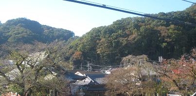 f0166824_130396.jpg