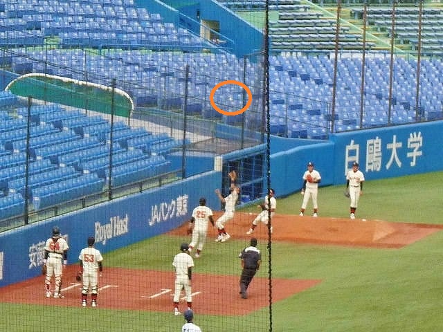 日本大対駒澤大 10月20日 東都大学野球1部 前半_b0166128_15311380.jpg