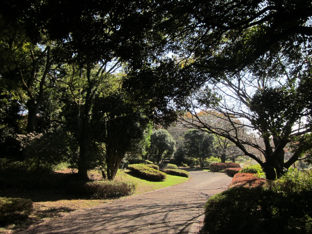 f0136828_19272425.jpg