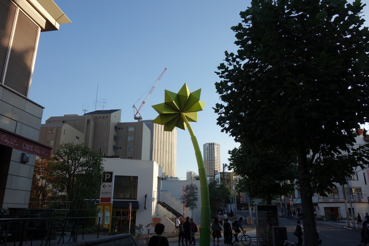 表参道近辺へ家具を見に その12~LOG ROAD DAIKANYAMA_a0287336_2341210.jpg