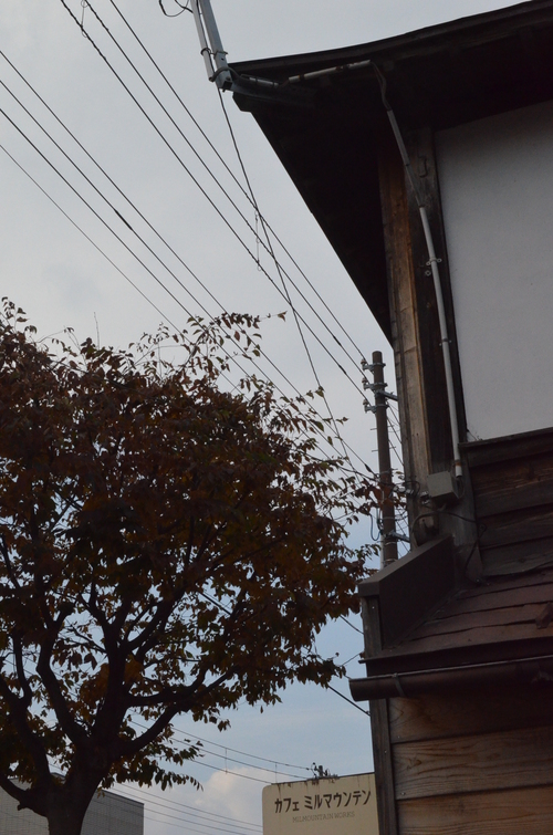 晩秋_b0207642_1335874.jpg