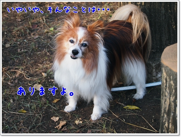 d0013149_22375950.jpg