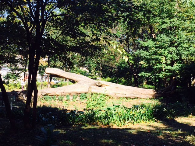 e0356651_13210725.jpg