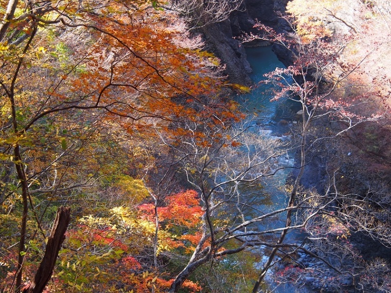 吾妻渓谷紅葉散策 15 11 04 心のまま 足の向くまま