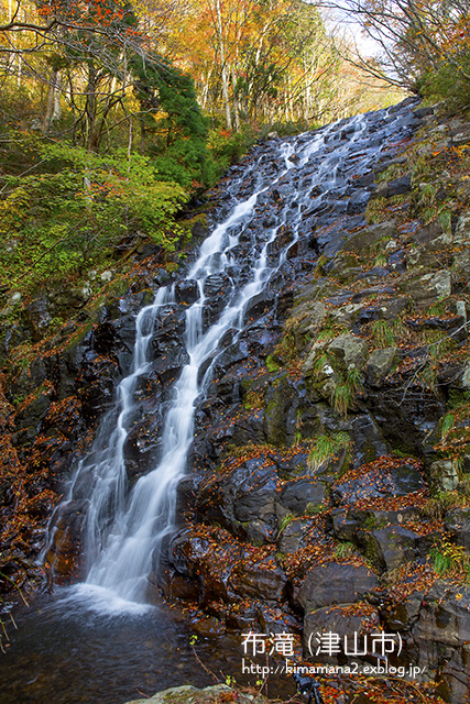 f0324756_22471680.jpg