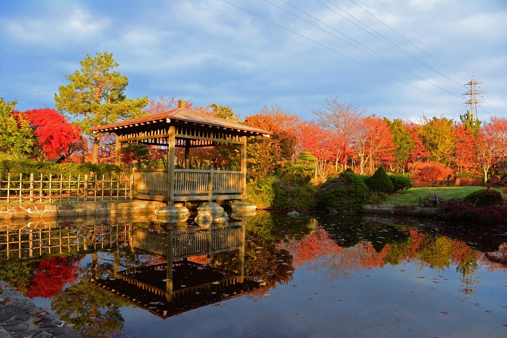 北海道博物館と…_d0333958_18060137.jpg