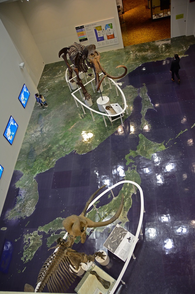 d0333958_18070279.jpg