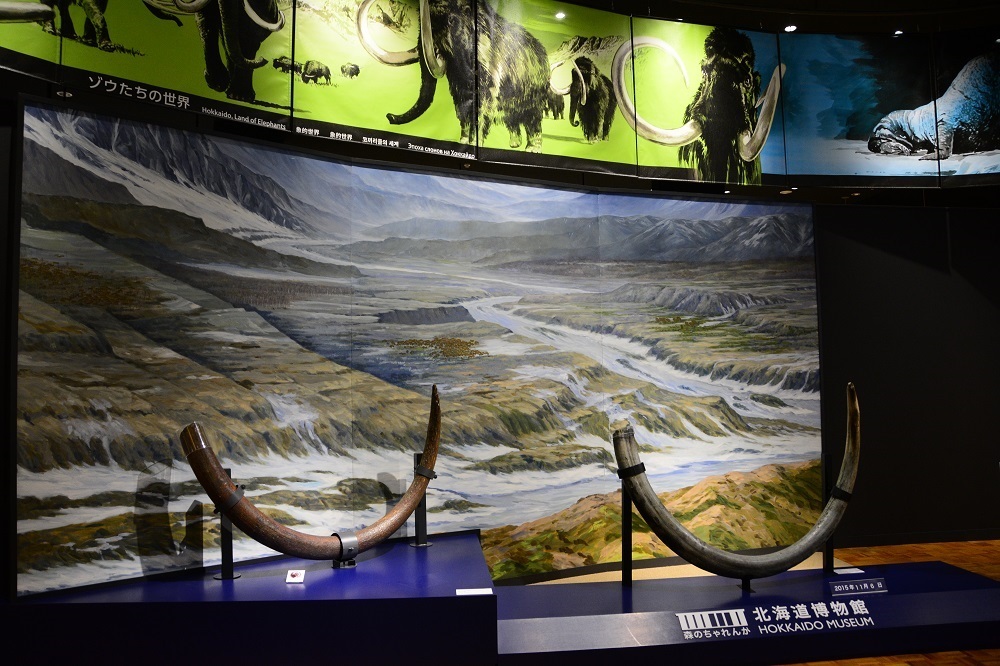 d0333958_18071370.jpg