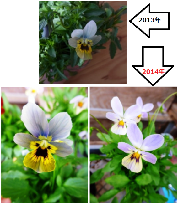 b0318759_18454415.png