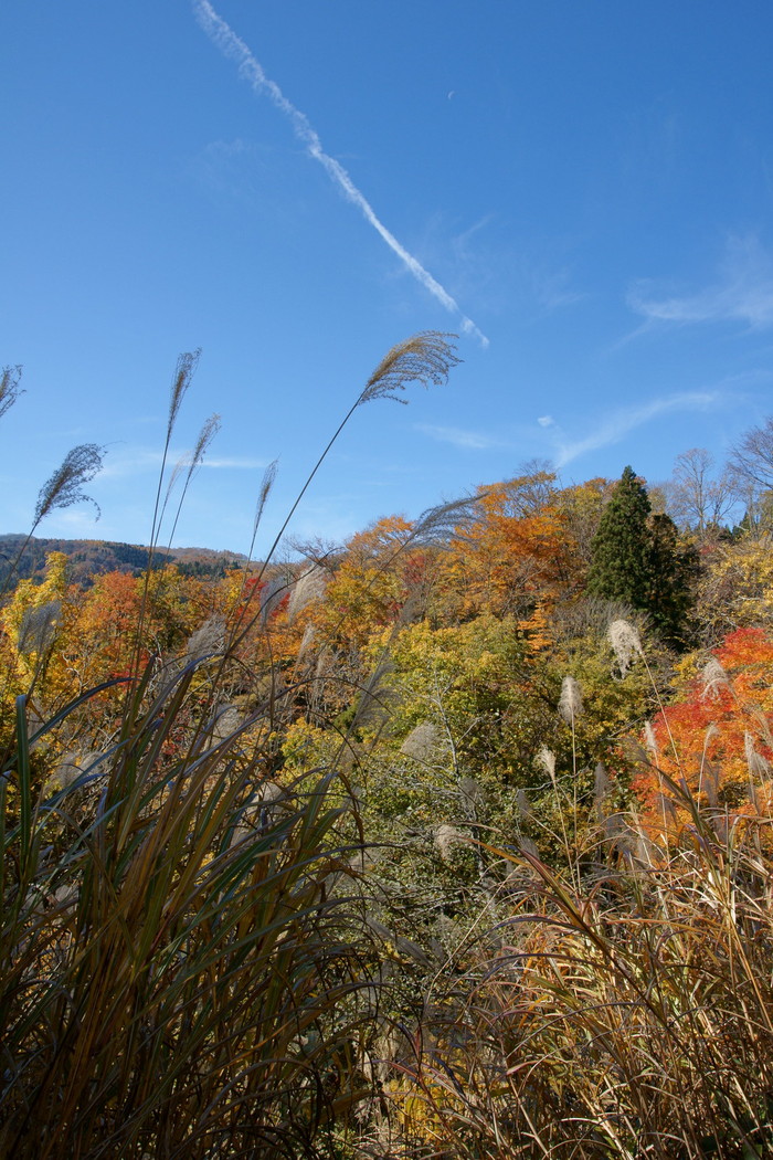 峠の紅葉　その1_b0311168_17514483.jpg