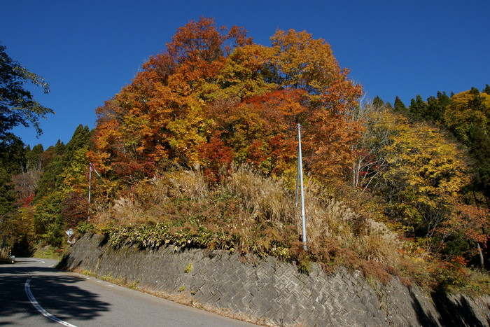 峠の紅葉　その1_b0311168_17535556.jpg