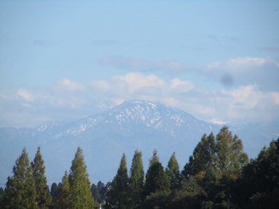 b0149071_20445330.jpg