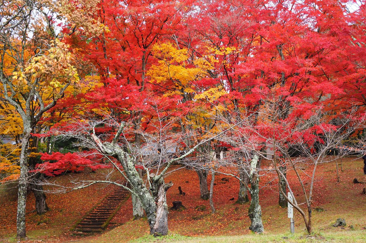 15-011　　土津神社（福島県耶麻郡猪苗代町）_b0065572_18564615.jpg