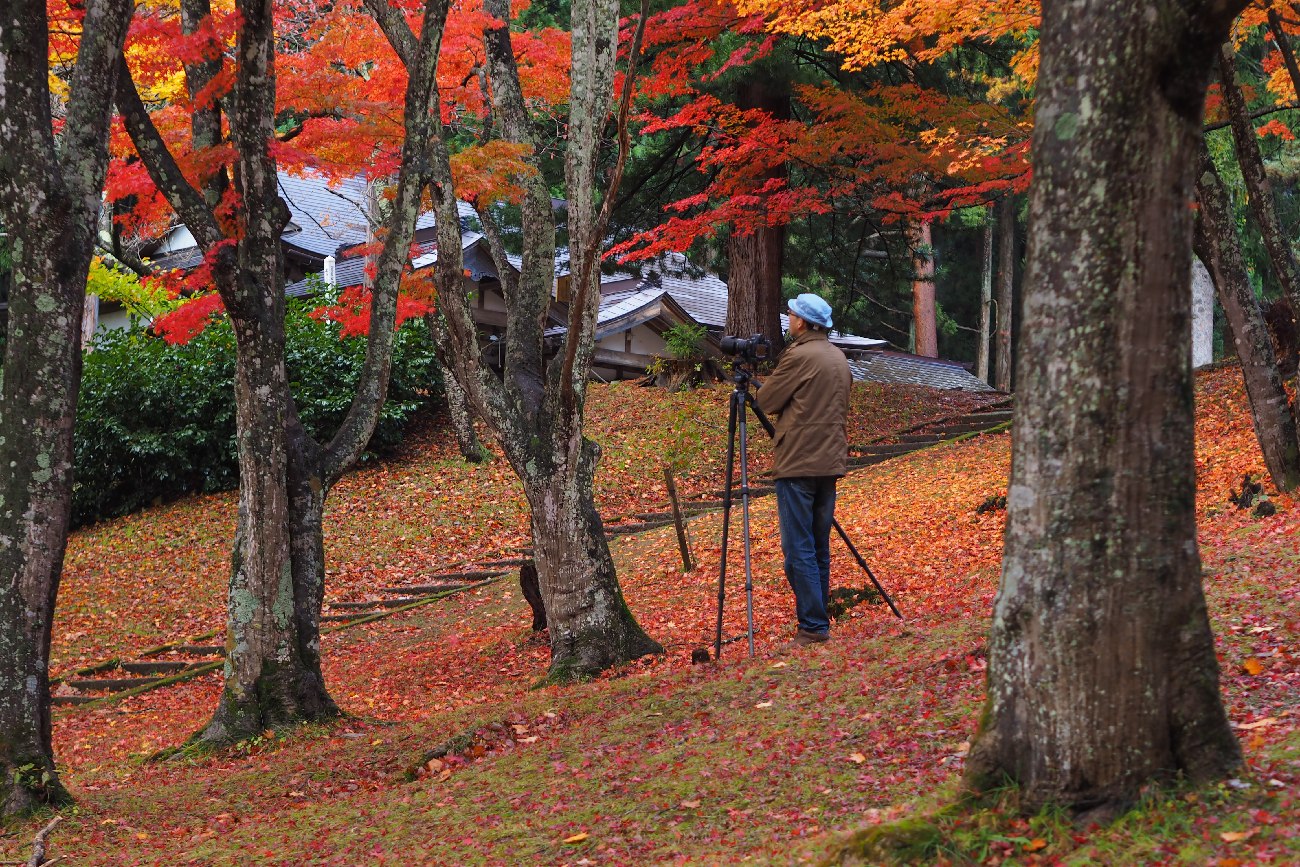 15-011　　土津神社（福島県耶麻郡猪苗代町）_b0065572_1925141.jpg