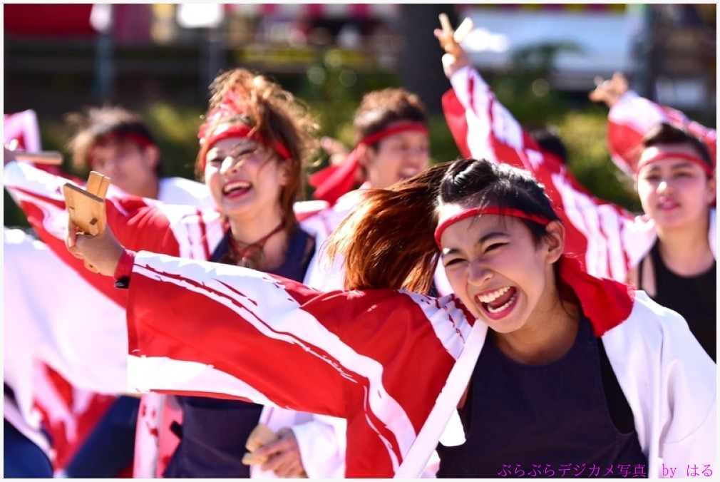 草加ふささら祭り　2015　（４）　朝霞なるこ遊和会_b0104774_20550969.jpg