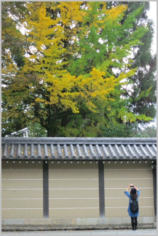 京都御所の紅葉_c0036080_1640995.jpg