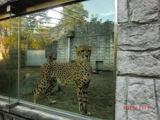 歩け歩け　多摩動物公園へ　♪_a0185783_1124272.jpg