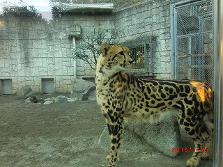 歩け歩け　多摩動物公園へ　♪_a0185783_11243849.jpg