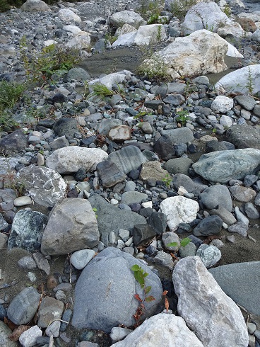 e0060485_8531266.jpg